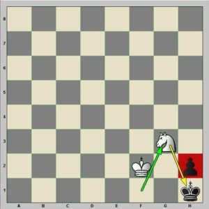 Diagramme : le cavalier