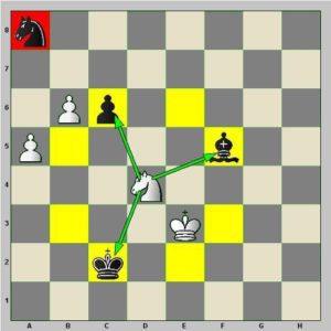 Diagramme : le cavalier
