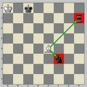 Diagramme : le fou