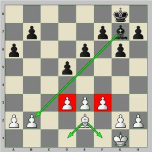 Diagramme : le fou