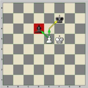 Diagramme : le pion