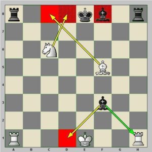 Diagramme : le roque